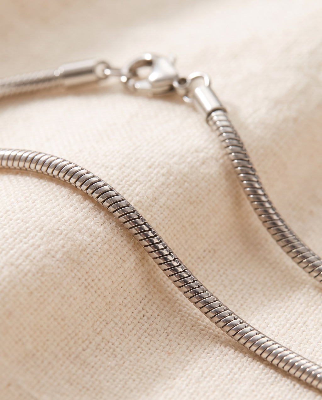 Close-up of the smooth polished surface of the silver-tone Snake Chain Necklace