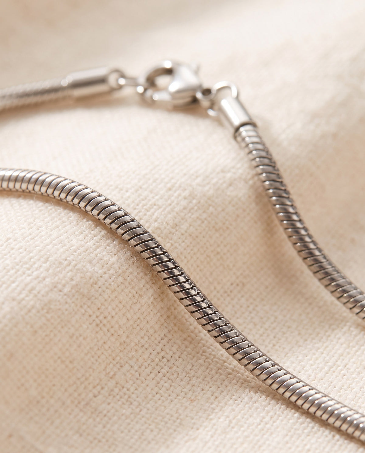 Close-up of the smooth polished surface of the silver-tone Snake Chain Necklace